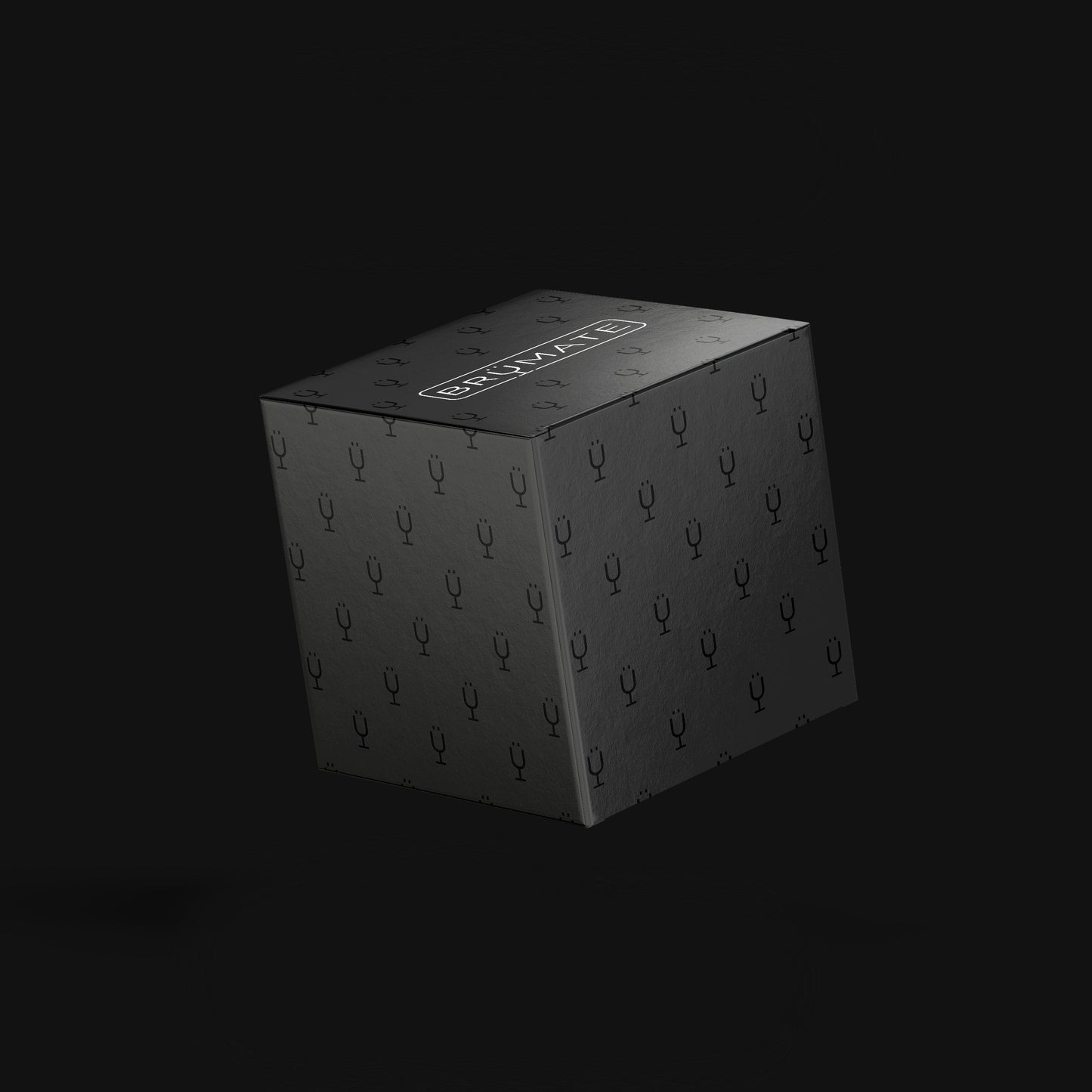mystery-item-24-49-value-f2 Mystery-Box-FINAL.jpg